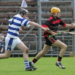 2008 Minor Hurling Champions defeating Ballygunner in the final at Walsh Park (2)