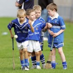 2008 Young Mount Sion supporters warming up on the sideline during the drawn Waterford Minor A Hurling Co Final 2008 v Ballygunner   Photo by Michael Kiely