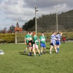 2011-02-27 Minor Football Championship v Dunhill-Fenor in Fenor (8)