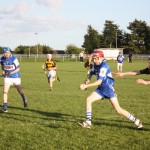 2011-04-11 Under 16 Championship v Lismore in Mount Sion (Draw) (44)
