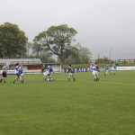 2011-05-21 Ladies Football Final v St. Annes in Fraher Field (Lost) (8)