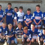 2011-06-04 Under 10s win Plate Final in Ballyduff Upper Tournament (2)