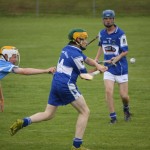 2011-07-06 Under 15 Championship v Roanmore in Mount Sion (Lost) (7)