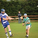 2011-07-11 Minor Championship v St. Patricks in Colligan (Won) (14)