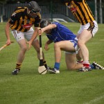 2011-07-23 Senior Challenge v Kilkenny Intermediates in Mount Sion (Lost) (4)