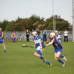 2011-08-16 Minor Championship v Butlerstown in Mount Sion (Lost) (4)