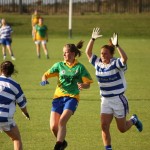 2011-08-21 Ladies Football Championship v Na Deise in Mount Sion (Won) (6)