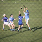 2011-08-24 Junior Hurling Championship v Roanmore in Mount Sion (Won) (2)