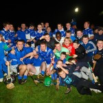 2011-10-14 County Junior Hurling Final Replay v Tallow in Carriganore (Won) (23)
