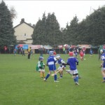 2011-10-23 Under 8 Kilmacud Crokes Tournament (10)