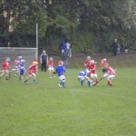2011-10-23 Under 8 Kilmacud Crokes Tournament (11)