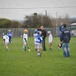 2012-03-11 Under 12 Challenge v O'loughlin Gaels in Mount Sion (3)