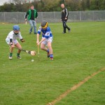 2012-03-11 Under 12 Challenge v O'loughlin Gaels in Mount Sion (8)