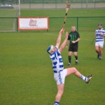 2012-03-24 Senior Challenge v Thurles Sarsfield in Carriganore (Lost) (13)