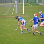 2012-03-24 Senior Challenge v Thurles Sarsfield in Carriganore (Lost) (15)