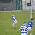 2012-03-24 Senior Challenge v Thurles Sarsfield in Carriganore (Lost) (18)