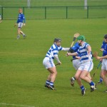 2012-03-24 Senior Challenge v Thurles Sarsfield in Carriganore (Lost) (21)