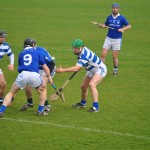 2012-03-24 Senior Challenge v Thurles Sarsfield in Carriganore (Lost) (22)