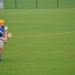 2012-03-24 Senior Challenge v Thurles Sarsfield in Carriganore (Lost) (3)