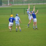 2012-03-24 Senior Challenge v Thurles Sarsfield in Carriganore (Lost) (4)