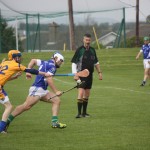 2012-04-01 Senior Challenge v Na Fianna (Dublin) in Mount Sion (Won) (13)