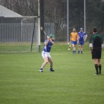 2012-04-01 Senior Challenge v Na Fianna (Dublin) in Mount Sion (Won) (17)