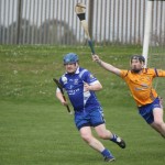 2012-04-01 Senior Challenge v Na Fianna (Dublin) in Mount Sion (Won) (2)