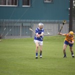 2012-04-01 Senior Challenge v Na Fianna (Dublin) in Mount Sion (Won) (20)