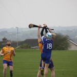 2012-04-01 Senior Challenge v Na Fianna (Dublin) in Mount Sion (Won) (23)