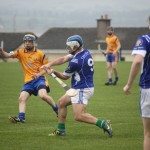2012-04-01 Senior Challenge v Na Fianna (Dublin) in Mount Sion (Won) (29)