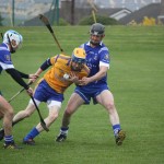 2012-04-01 Senior Challenge v Na Fianna (Dublin) in Mount Sion (Won) (30)