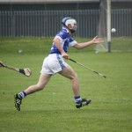 2012-04-01 Senior Challenge v Na Fianna (Dublin) in Mount Sion (Won) (5)