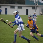 2012-04-01 Under 14 Challenge v Na Fianna (Dublin) in Mount Sion (Won) (11)