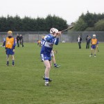 2012-04-01 Under 14 Challenge v Na Fianna (Dublin) in Mount Sion (Won) (20)