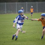 2012-04-01 Under 14 Challenge v Na Fianna (Dublin) in Mount Sion (Won) (4)
