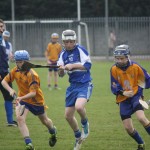 2012-04-01 Under 14 Challenge v Na Fianna (Dublin) in Mount Sion (Won) (6)