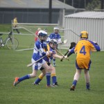 2012-04-01 Under 14 Challenge v Na Fianna (Dublin) in Mount Sion (Won) (7)