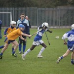 2012-04-01 Under 14 Challenge v Na Fianna (Dublin) in Mount Sion (Won) (8)