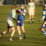 2012-04-04 Under 16 Challenge v Kilmacow in Mount Sion (Draw) (12)