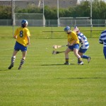 2012-04-15 Junior Camogie League v Tallow in Mount Sion (Won) (15)