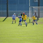 2012-04-15 Junior Camogie League v Tallow in Mount Sion (Won) (18)
