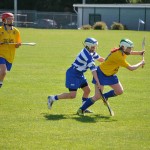 2012-04-15 Junior Camogie League v Tallow in Mount Sion (Won) (23)