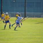 2012-04-15 Junior Camogie League v Tallow in Mount Sion (Won) (24)