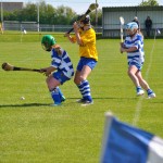 2012-04-15 Junior Camogie League v Tallow in Mount Sion (Won) (32)