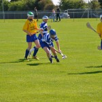 2012-04-15 Junior Camogie League v Tallow in Mount Sion (Won) (4)