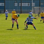 2012-04-15 Junior Camogie League v Tallow in Mount Sion (Won) (44)