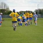2012-04-15 Junior Camogie League v Tallow in Mount Sion (Won) (47)