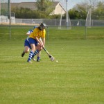 2012-04-15 Junior Camogie League v Tallow in Mount Sion (Won) (48)