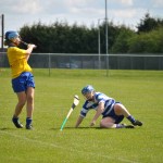 2012-04-15 Junior Camogie League v Tallow in Mount Sion (Won) (49)