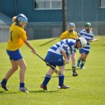 2012-04-15 Junior Camogie League v Tallow in Mount Sion (Won) (50)